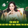 Chiêm ngưỡng 5 bộ bài đẳng cấp nhất thế giới Nhat Vip